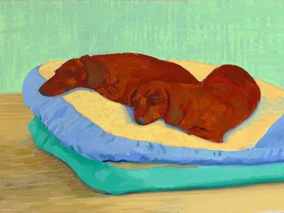 David Hockney&#39;s Dog Painting 19&nbsp;(1995)