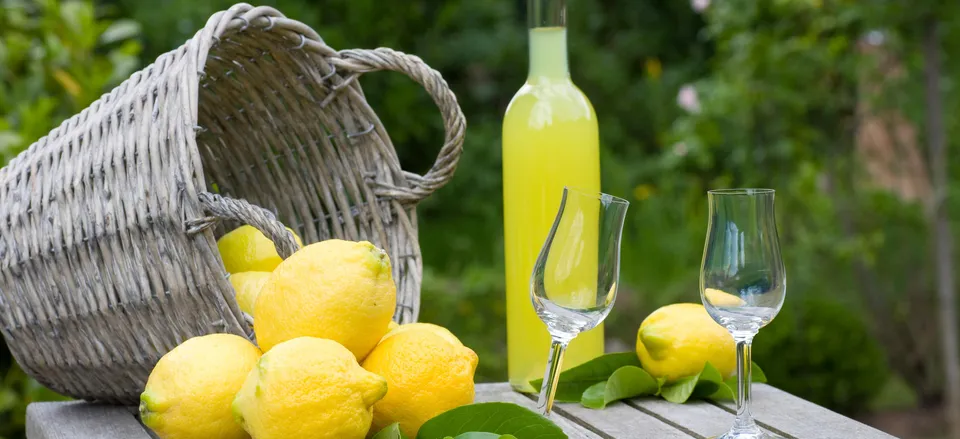  Lemons and traditional limoncello aperitif, Amalfi Coast 