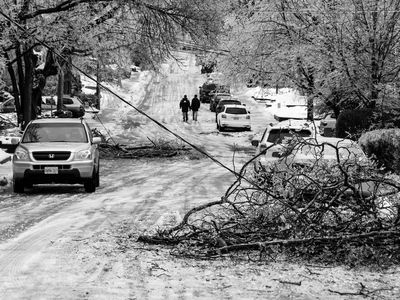 Downed trees litter the street during a recent ice storm in Toronto.