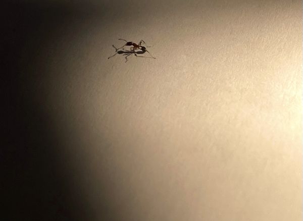 to the darkness thumbnail