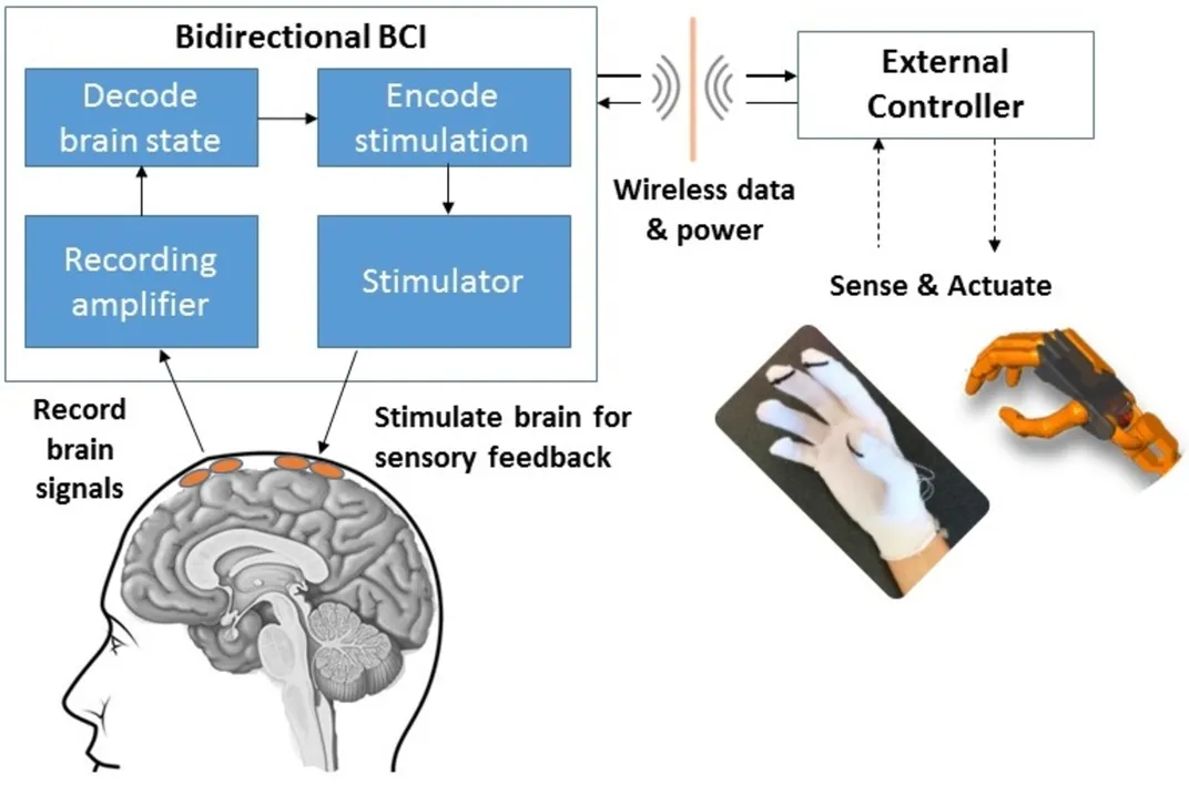 A bidirectional brain-computer interface