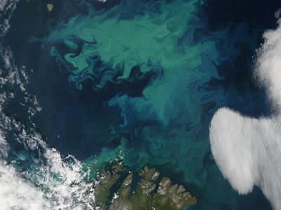 Phytoplankton form swirls of green in the Barents Sea north of Norway.&nbsp;The Moderate Resolution Imaging Spectroradiometer (MODIS) on NASA&rsquo;s Aqua satellite acquired this image on July 27, 2004.