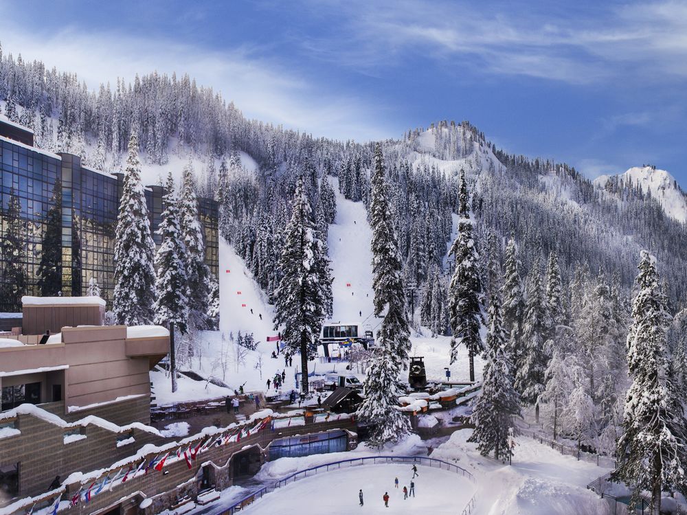 Snow-covered resort with pool and evergreen trees