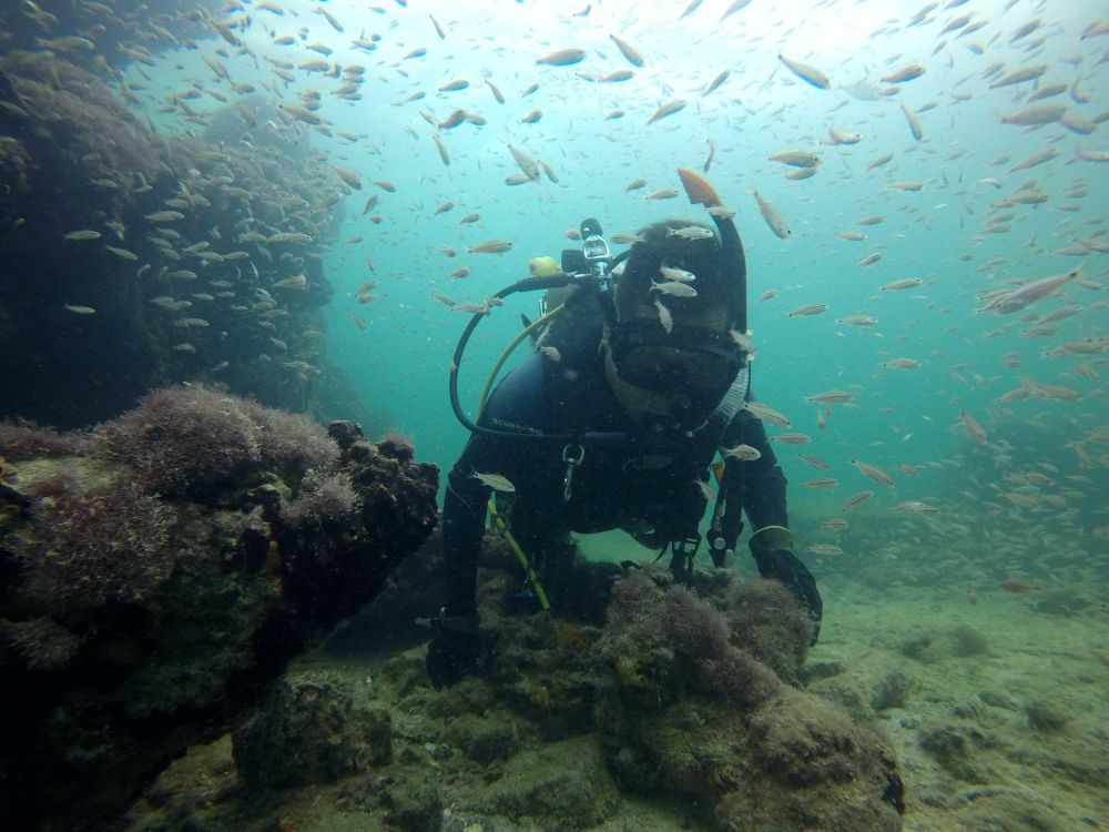 A diver swims toward the camera, surrounded by small yellow fish and close to the sea floor