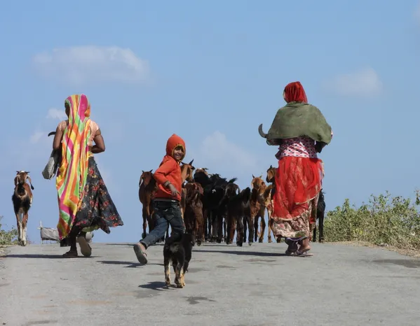 People and animal thumbnail