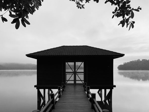 Early morning by the lake. thumbnail