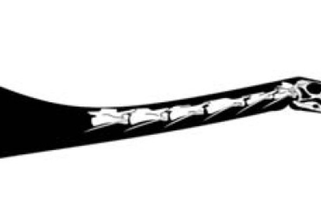 Leyesaurus marayensis