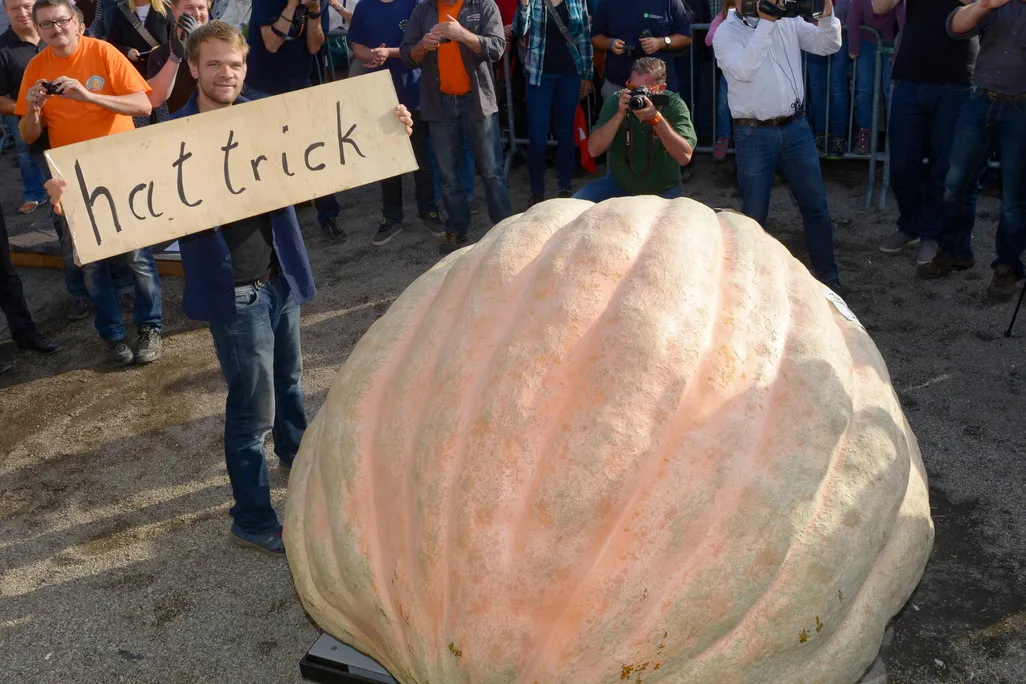 10_24_2014_pumpkin.jpg