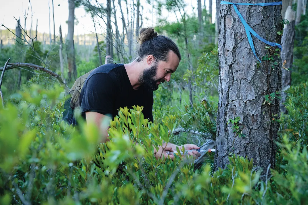 a bearded man is crouched down near a tree in the woods