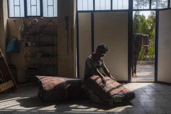 Untitled (5) thumbnail