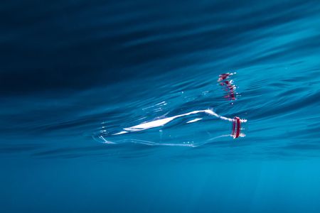 Plastics typically contain chemical additives like metals and dyes, which can leach out and affect organisms nearby.