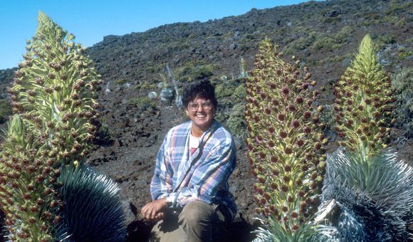 A woman in a blue checkered shirt kneels on the ground with tall, green plans surrounding her on both sides.