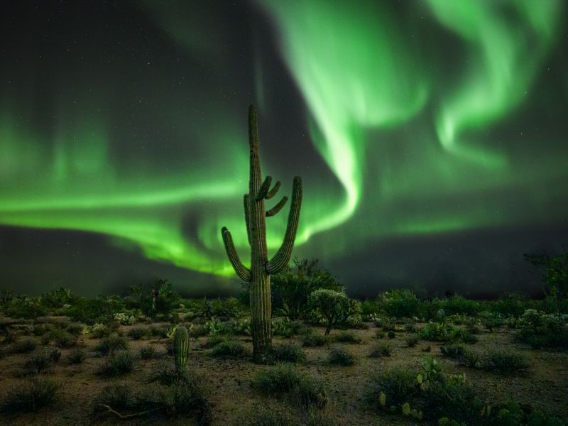 Desert Aurora Smithsonian Photo Contest Smithsonian Magazine