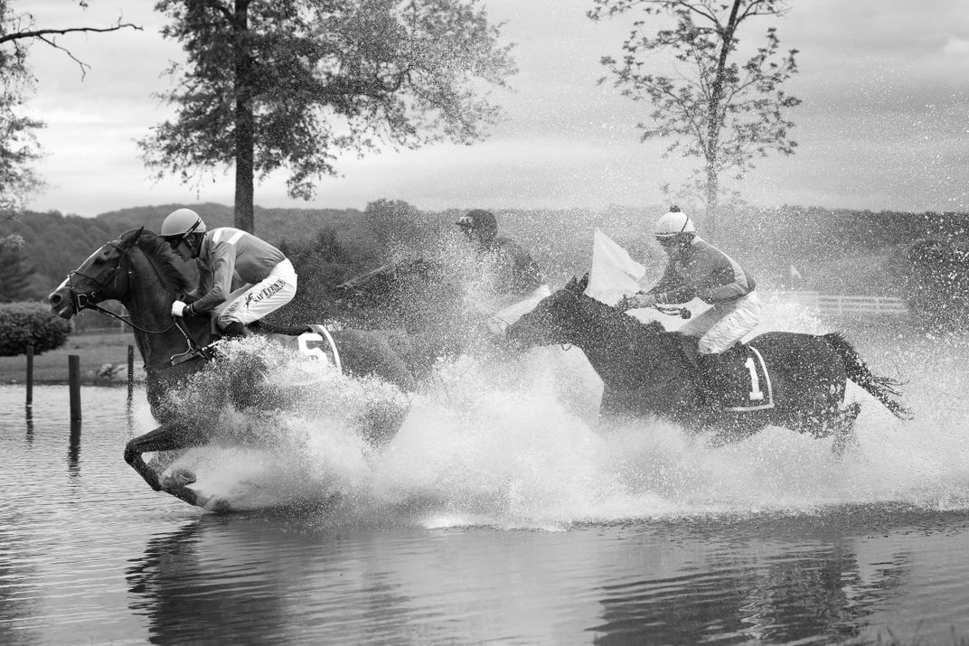 tamed-horses-smithsonian-photo-contest-smithsonian-magazine