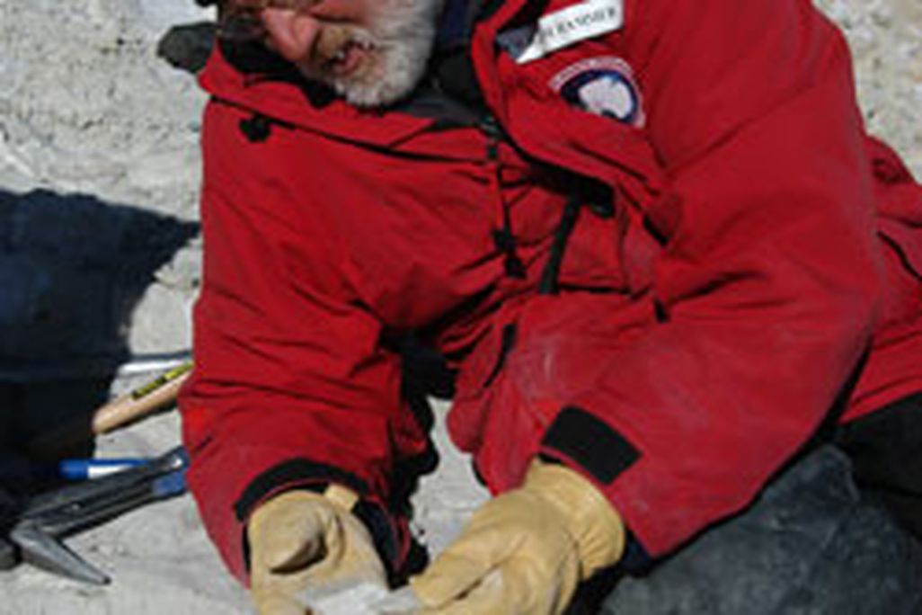 20110520104026william_hammer_antarctica.jpg