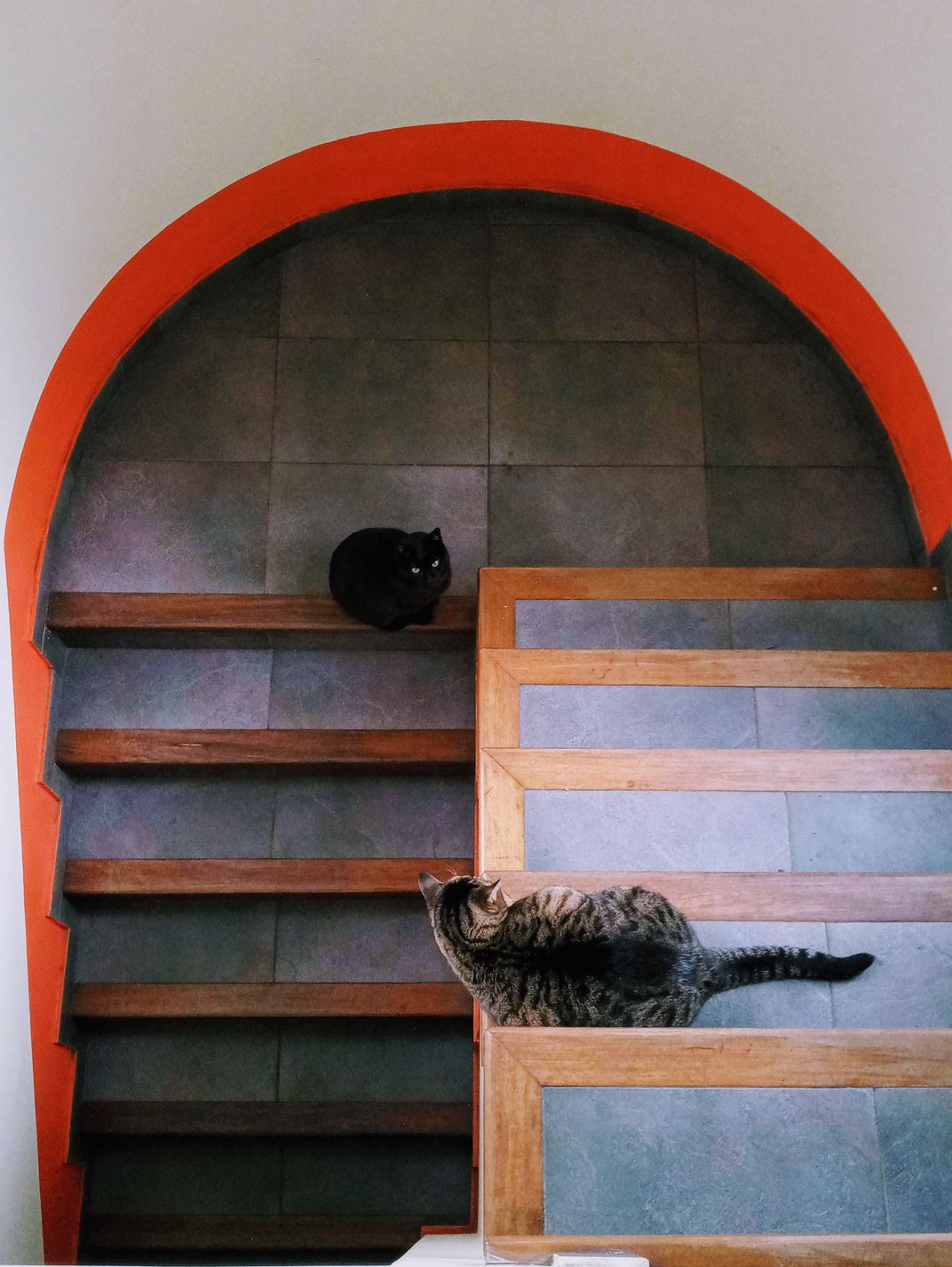 Confrontation | Smithsonian Photo Contest | Smithsonian Magazine