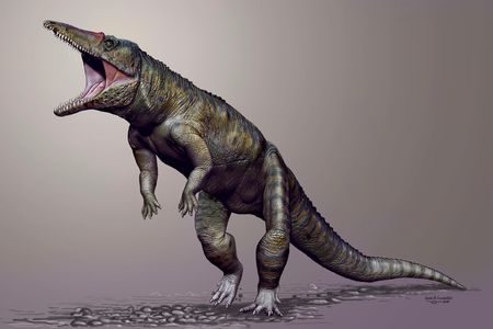 Terrifying. An ancestor of the modern-day croc stood nine feet tall and walked on its hind legs. It's been lovingly christened the "Carolina Butcher."