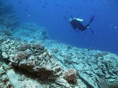Divers explore Kauai’s reefs