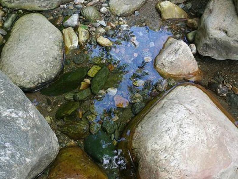 Rocks in pond Smithsonian Photo Contest Smithsonian Magazine
