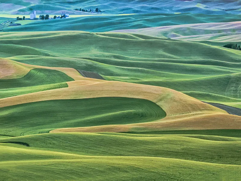 Rich farmland in the Palouse region | Smithsonian Photo Contest ...