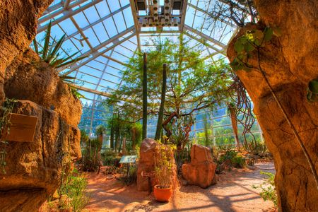 The Desert Pavilion at the Brooklyn Botanical Garden.