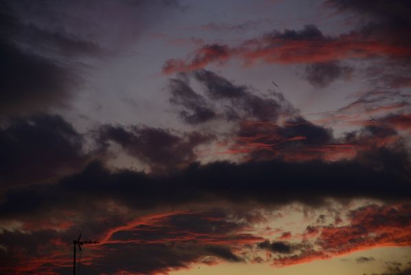 Red clouds thumbnail
