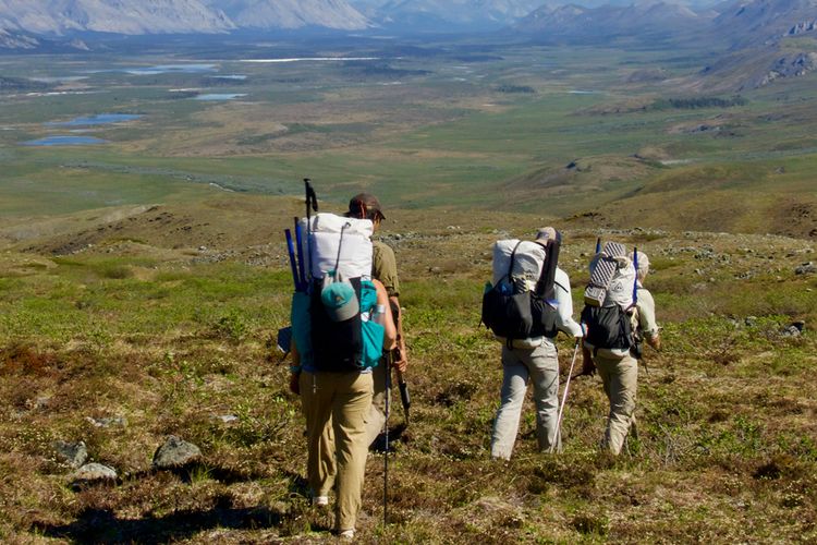 Alaskan wilderness
