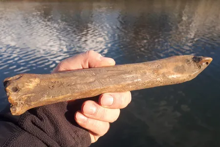 The skate was discovered in Přerov, a city in the Czech Republic's eastern Olomouc region through which the&nbsp;Bečva river flows.