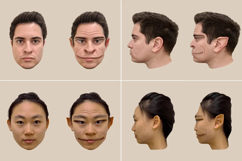 Four panes of faces that have been distorted