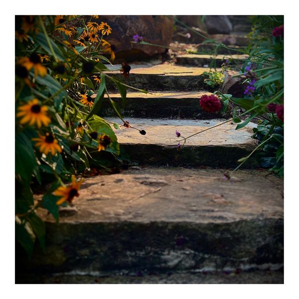 Steps that lead me to you thumbnail