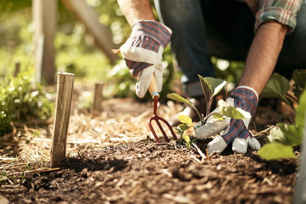 Healthy soil