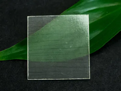 See-through wood has a number of interesting properties that researchers hope to exploit.