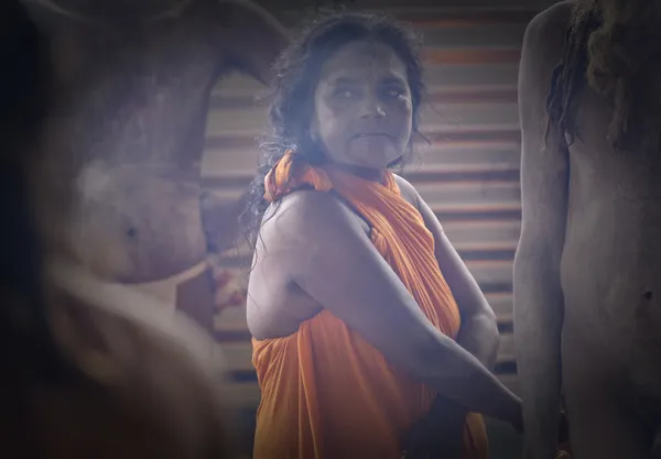 Portrait of a Mother thumbnail