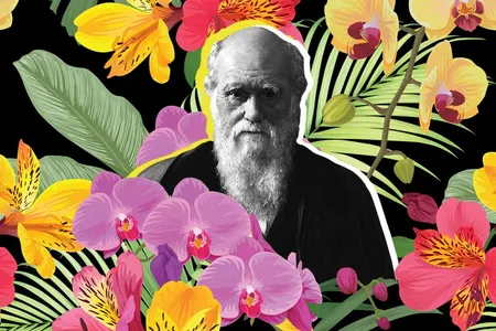 Though Charles Darwin is most famous for his voyage aboard the HMS Beagle and his theory of natural selection, the naturalist was, at heart, a botanist. 