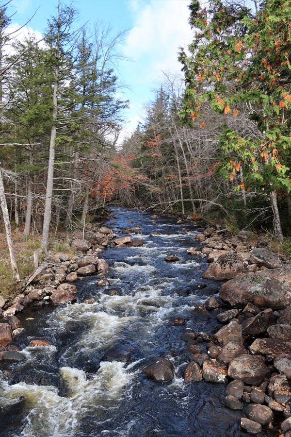 Creek in the Adirondacks thumbnail