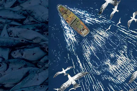 The rusted pirate fishing vessel STS-50 evaded authorities time and time again—until its luck ran out.