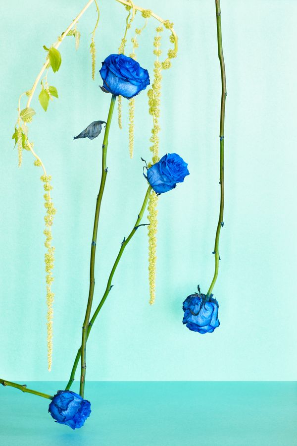 Still Life With Blue Roses thumbnail