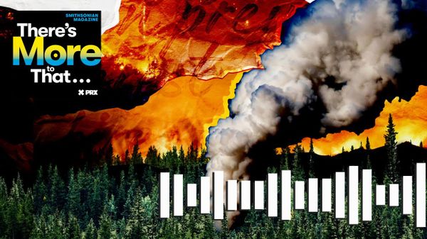 Preview thumbnail for Why Wildfires Are Burning Hotter and Longer