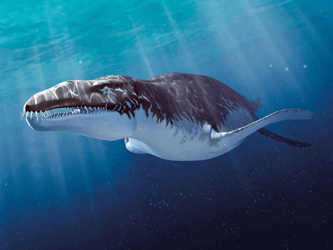 Liopleurodon