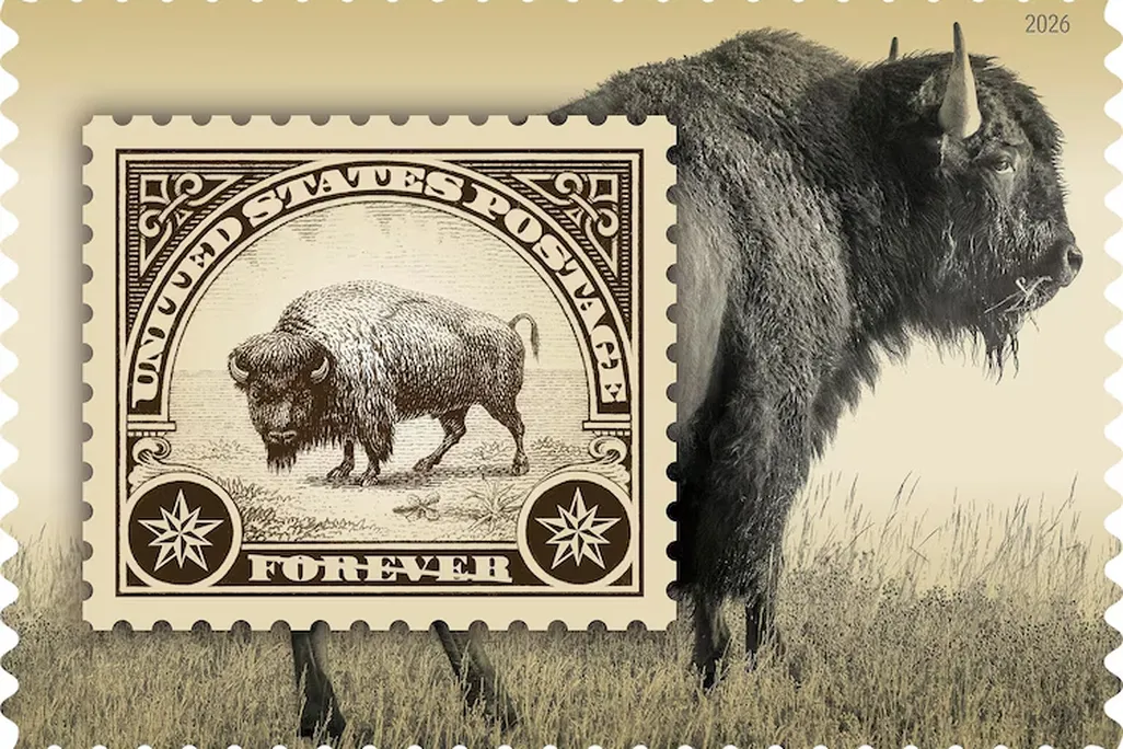 A stamp that shows a bison with another stamp also showing a bison