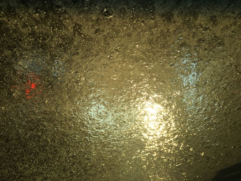 Blanket Me Smithsonian Photo Contest Smithsonian Magazine