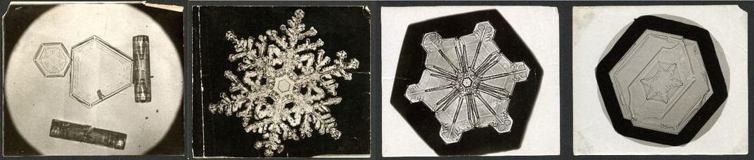 Composite of historical photos comparing four ice crystal shapes under a microscope
