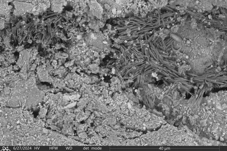 A scanning electron microscope image shows sodium carbonates in a sample from the asteroid Bennu. Each needle is less than one micrometer wide by five to ten micrometers in length&mdash;for comparison, a human hair is about 100 micrometers wide.