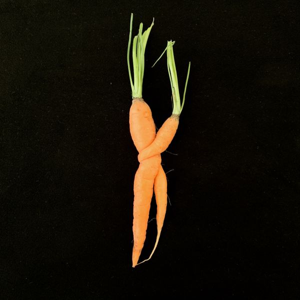 Carrot Tango thumbnail