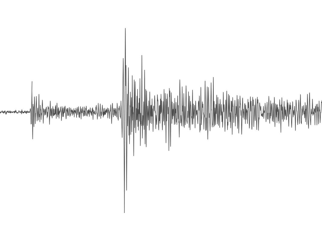 Seismogram From Mars