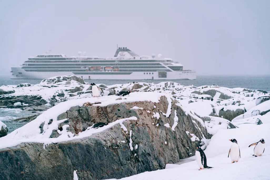 Viking cruise ship in Antarctica