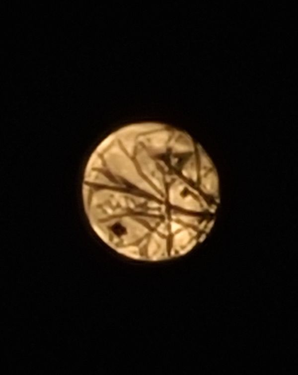Moon view through trees while driving home in Maryland, Samsung Galaxy S20 FE 5G thumbnail