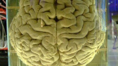 Computers are coming closer and closer to mimicking the human brain.