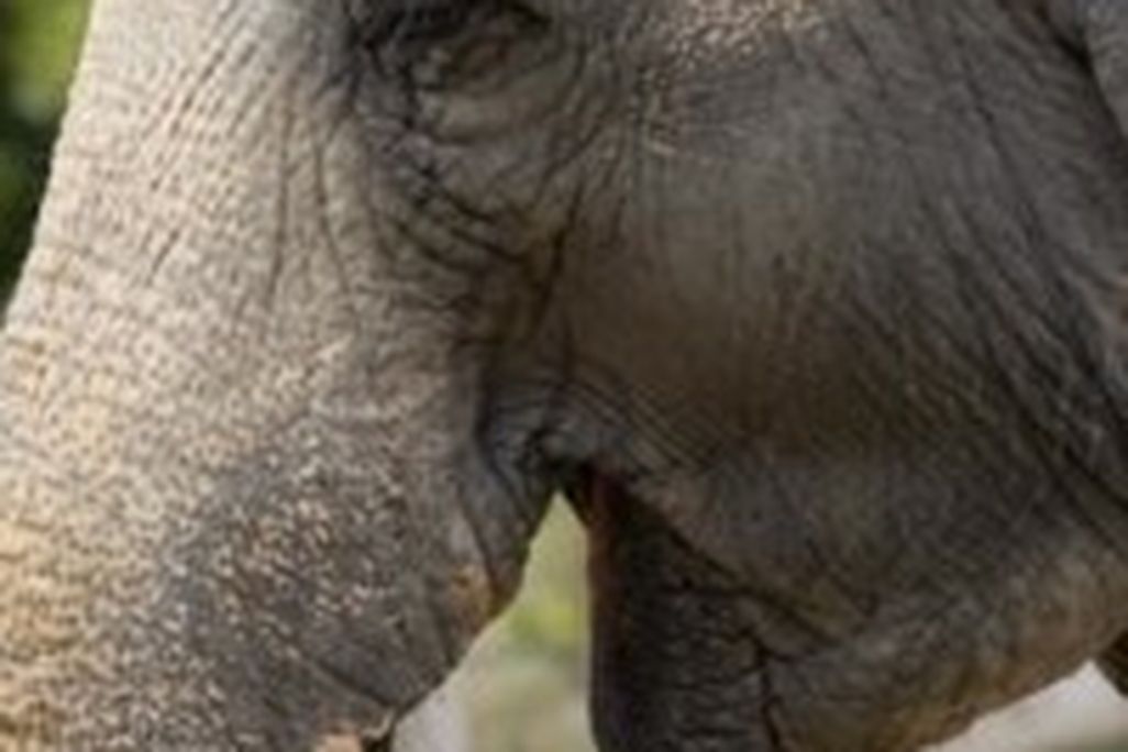 20110520110622image005-200x300.jpg