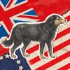 The Dog Who Served on Both Sides of the American Revolution icon